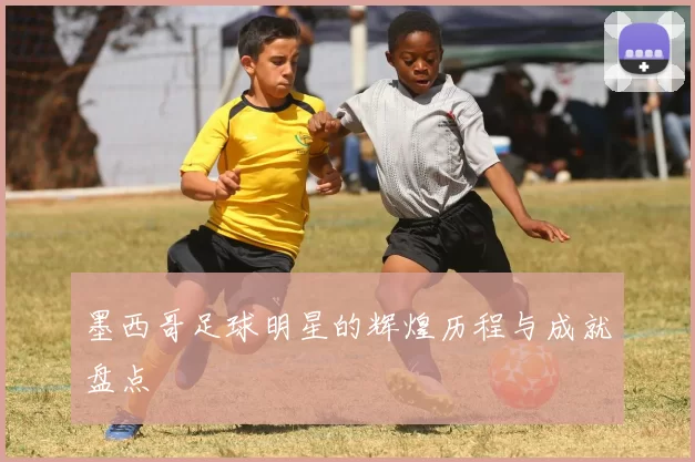 墨西哥足球明星的辉煌历程与成就盘点
