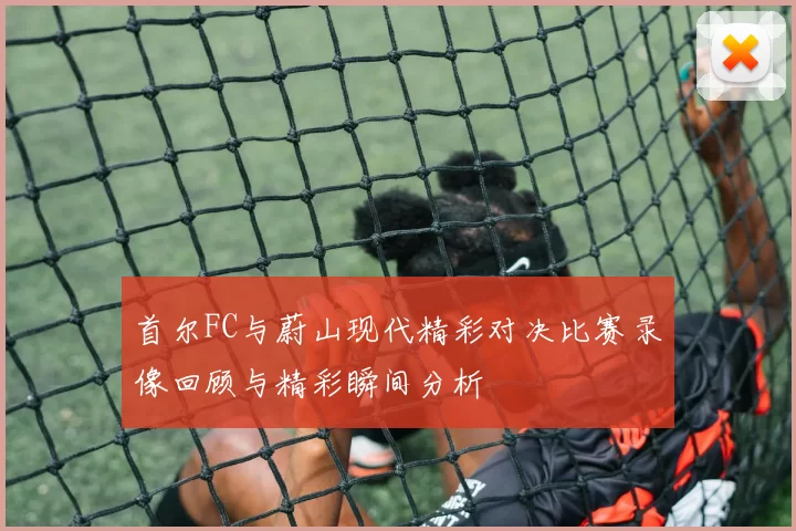 首尔FC与蔚山现代精彩对决比赛录像回顾与精彩瞬间分析