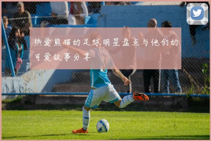 热爱熊猫的足球明星盘点与他们的可爱故事分享