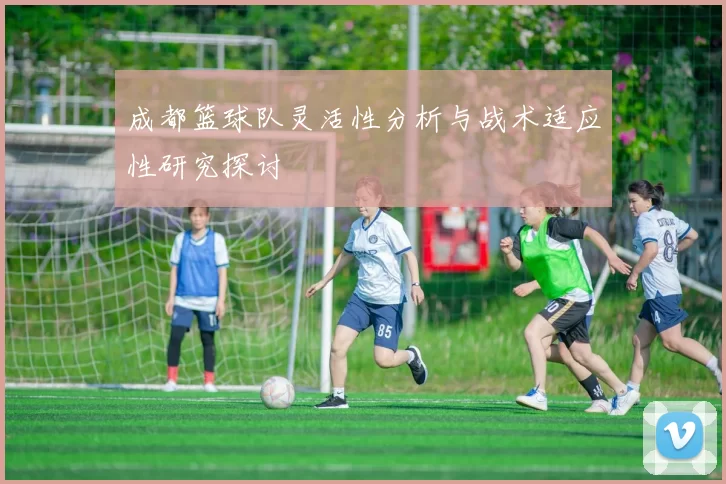 成都篮球队灵活性分析与战术适应性研究探讨