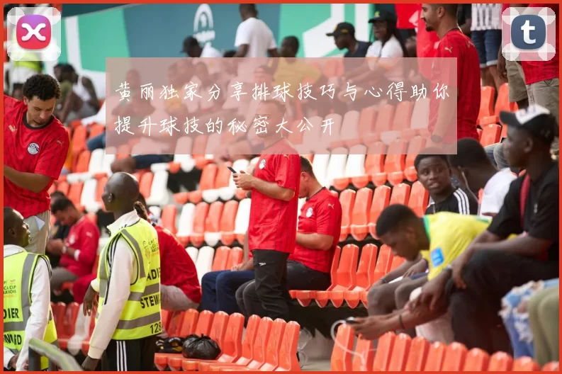 黄丽独家分享排球技巧与心得助你提升球技的秘密大公开