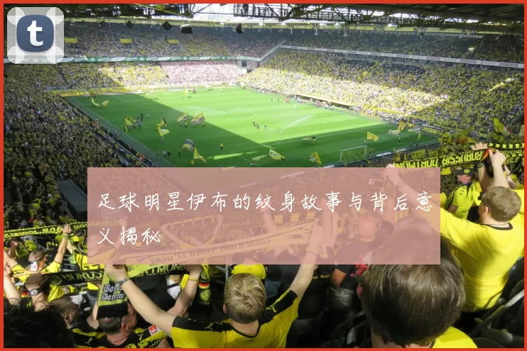 足球明星伊布的纹身故事与背后意义揭秘