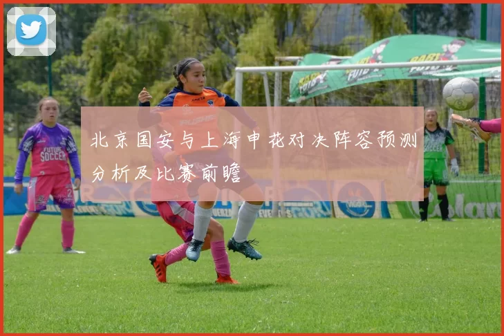 北京国安与上海申花对决阵容预测分析及比赛前瞻