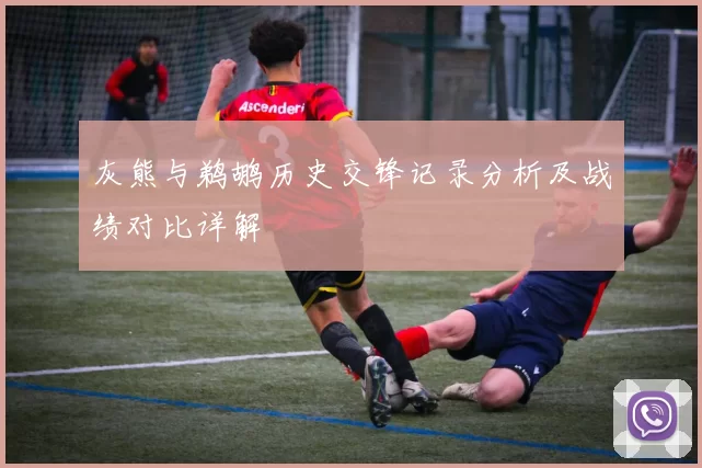 灰熊与鹈鹕历史交锋记录分析及战绩对比详解