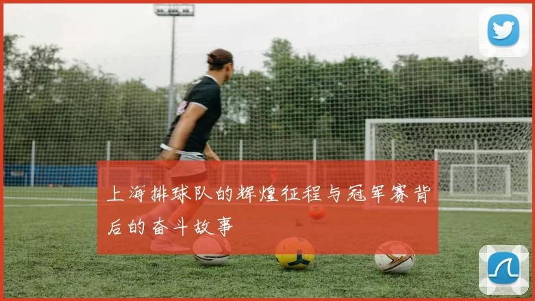 上海排球队的辉煌征程与冠军赛背后的奋斗故事