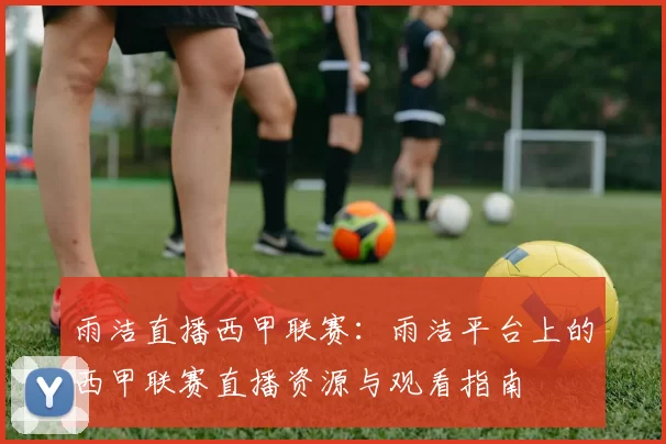 雨洁直播西甲联赛：雨洁平台上的西甲联赛直播资源与观看指南