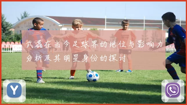 武磊在当今足球界的地位与影响力分析及其明星身份的探讨