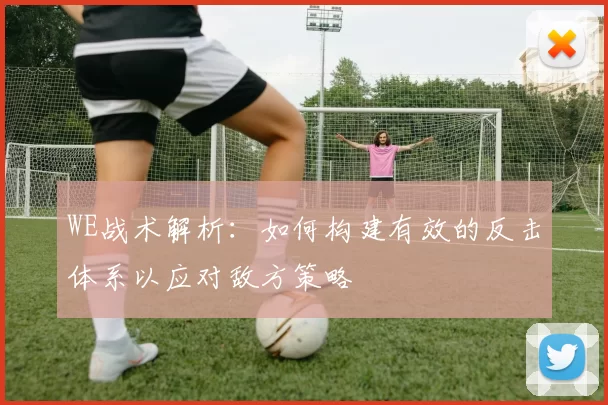 WE战术解析：如何构建有效的反击体系以应对敌方策略