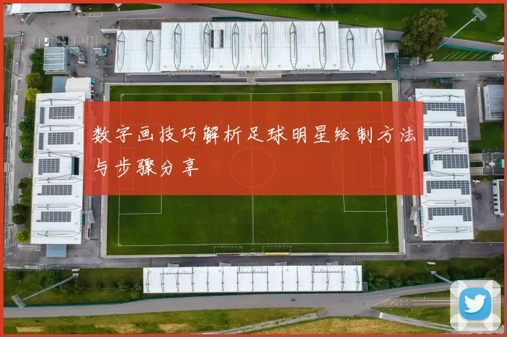数字画技巧解析足球明星绘制方法与步骤分享