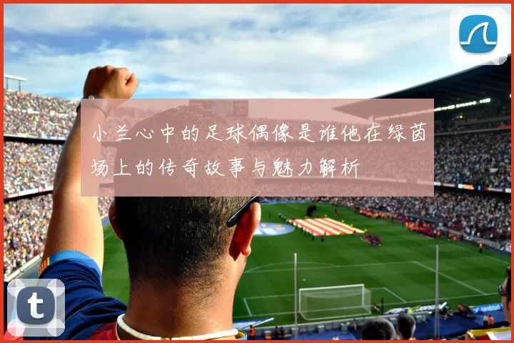 小兰心中的足球偶像是谁他在绿茵场上的传奇故事与魅力解析