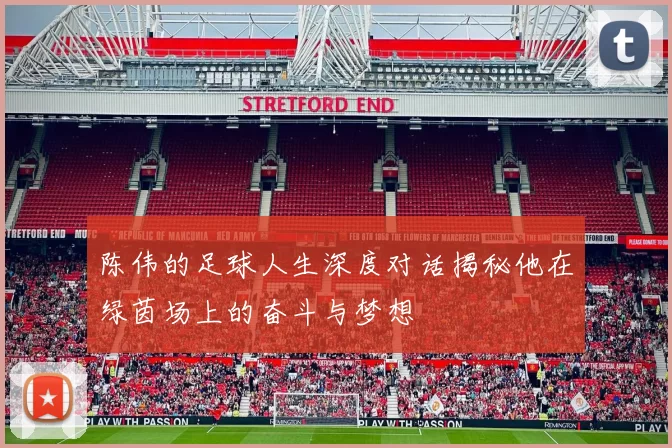 陈伟的足球人生深度对话揭秘他在绿茵场上的奋斗与梦想