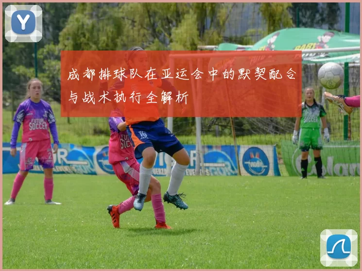 成都排球队在亚运会中的默契配合与战术执行全解析