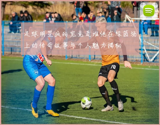 足球明星疯狗究竟是谁他在绿茵场上的传奇故事与个人魅力揭秘