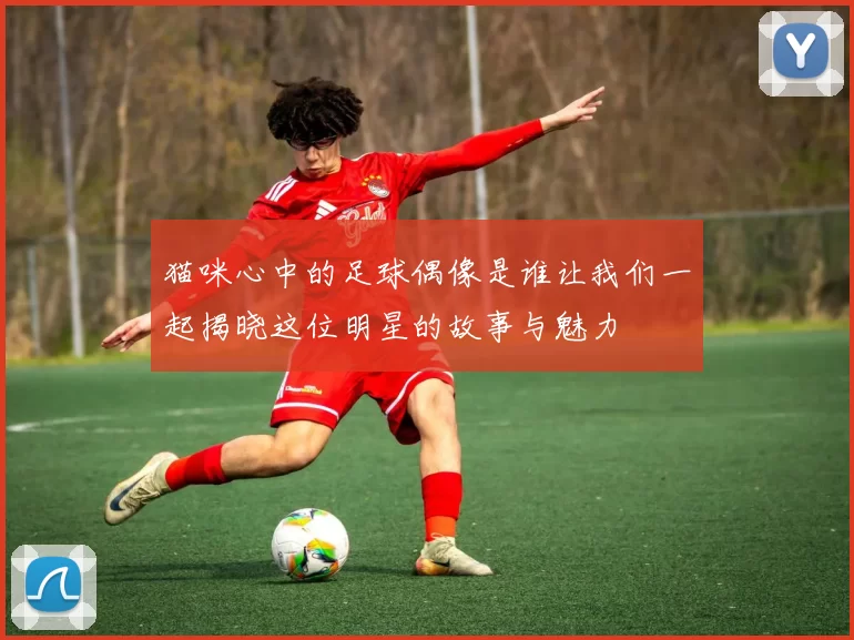 猫咪心中的足球偶像是谁让我们一起揭晓这位明星的故事与魅力
