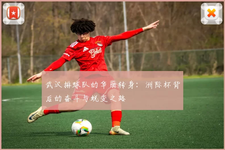 武汉排球队的华丽转身：洲际杯背后的奋斗与蜕变之路