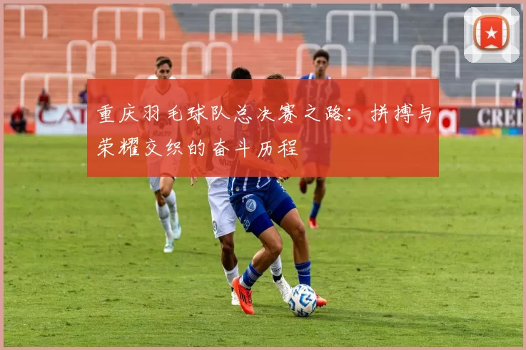 重庆羽毛球队总决赛之路：拼搏与荣耀交织的奋斗历程