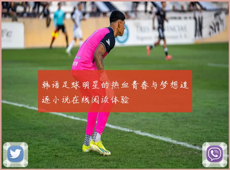韩语足球明星的热血青春与梦想追逐小说在线阅读体验