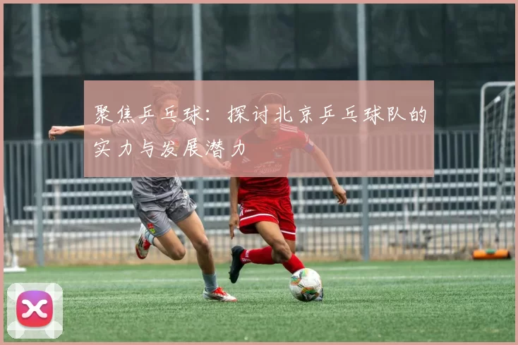 聚焦乒乓球：探讨北京乒乓球队的实力与发展潜力