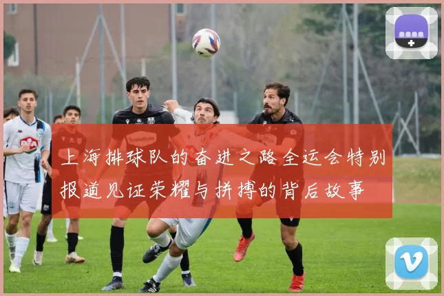 上海排球队的奋进之路全运会特别报道见证荣耀与拼搏的背后故事