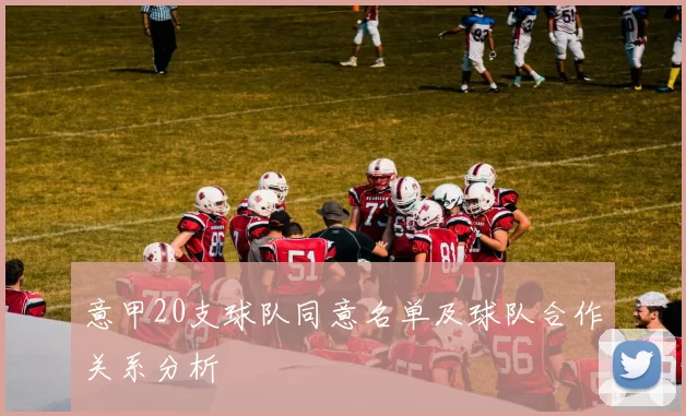 意甲20支球队同意名单及球队合作关系分析