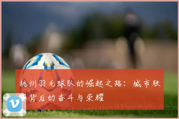 杭州羽毛球队的崛起之路：城市联赛背后的奋斗与荣耀